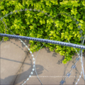 Concertina Razor Wire With Clips Razor Barbed Wire